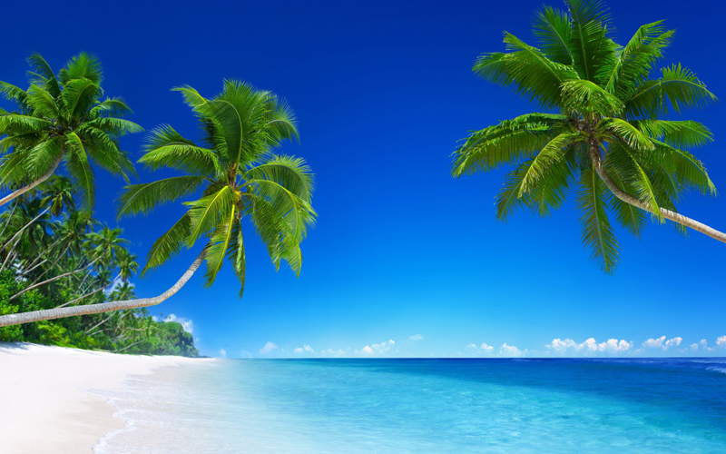 пальмы, песок, океан, пляж