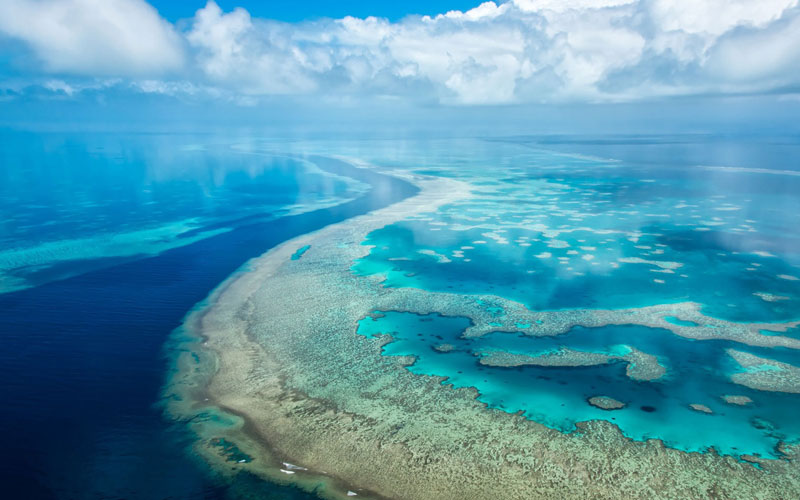 Great Barrier Reef, Большой Барьерный риф