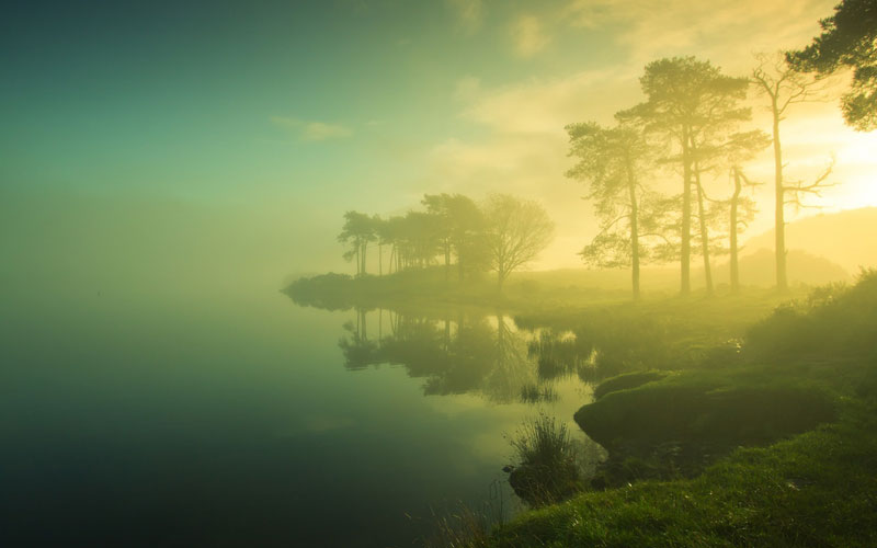 озеро, туман, деревья