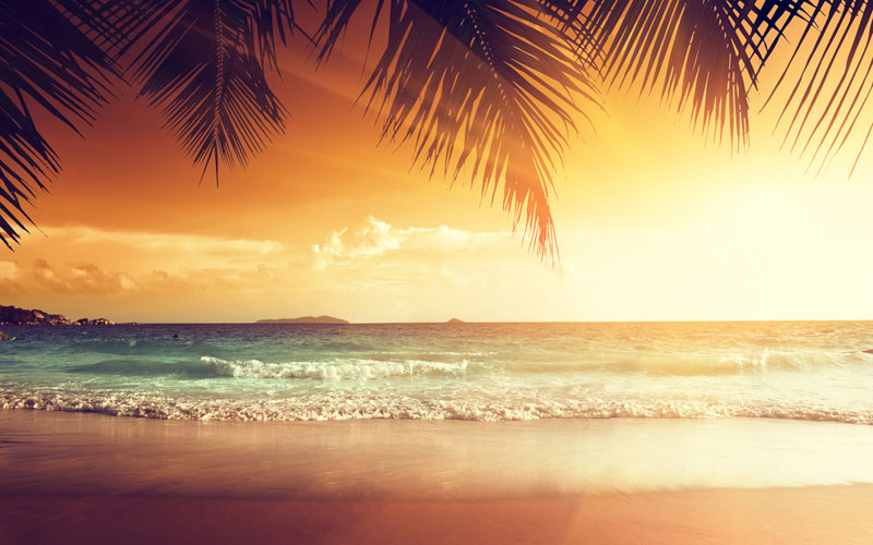 пальма, море, волны, волна, пляж, песок, закат